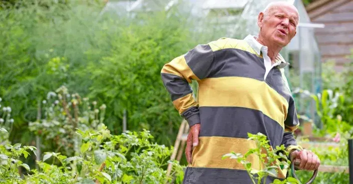 Bolesti zad Bolesti zad