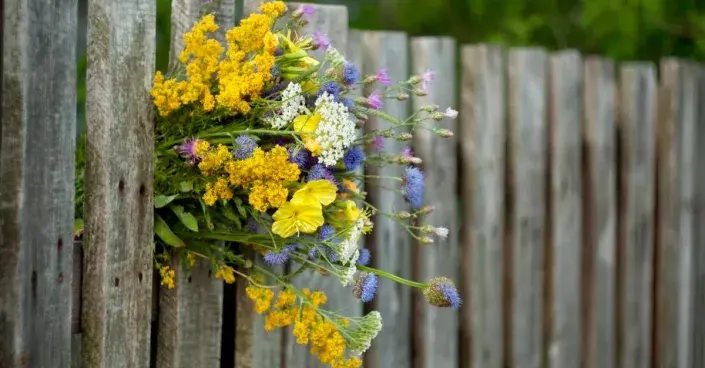 Devatero kvítí Devatero kvítí