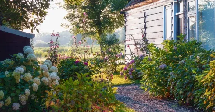 Trvalkové záhony Trvalkové záhony