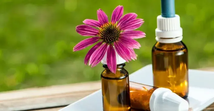 Léčivá třapatkovka Léčivá třapatkovka