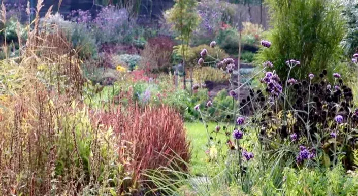 Podzimní zahrada Podzimní zahrada