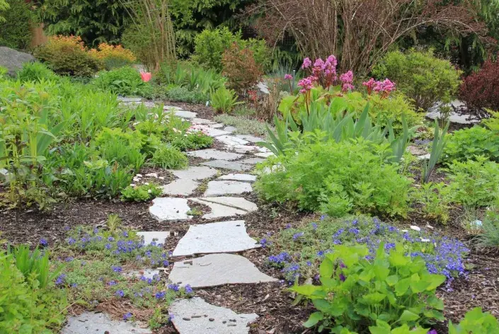 Cesta jarním trvalkovým záhonem Cesta jarním trvalkovým záhonem