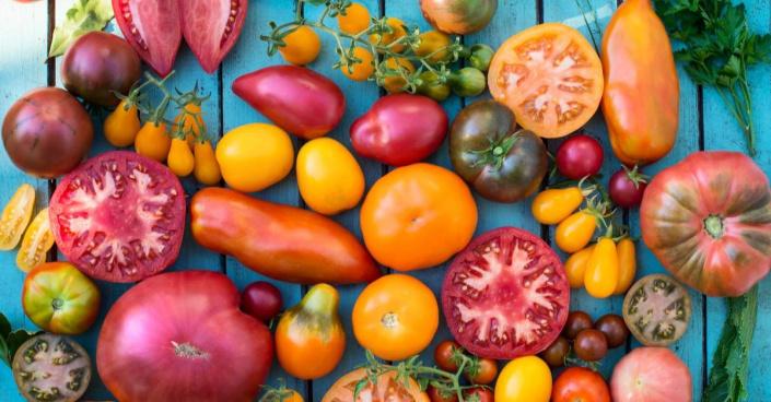 Odrůdy rajčat různých tvarů a barev
