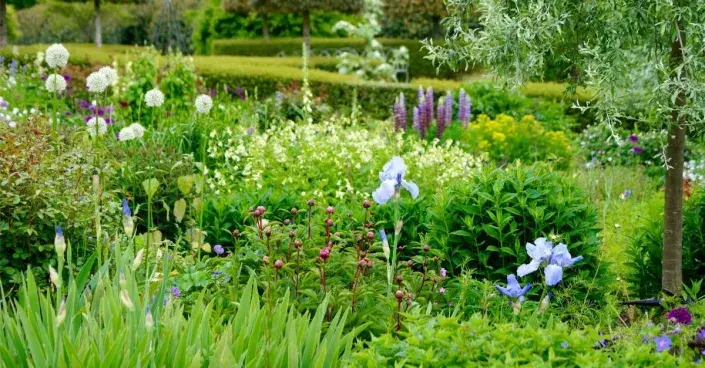 Anglický okrasný záhon Anglický okrasný záhon