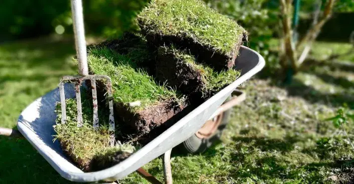 Travní drny v zahradním kolečku Travní drny v zahradním kolečku