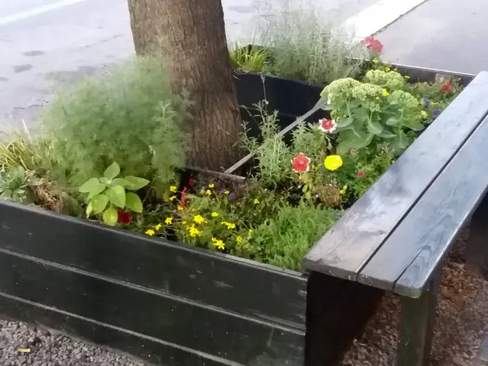 Vyvýšený záhon kolem stromu Vyvýšený záhon kolem stromu