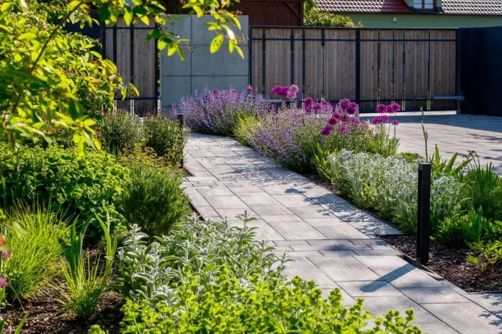 Dlážděná cesta lemovaná záhony Dlážděná cesta lemovaná záhony