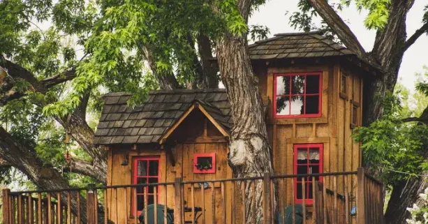 Strom na hranici pozemku Strom na hranici pozemku