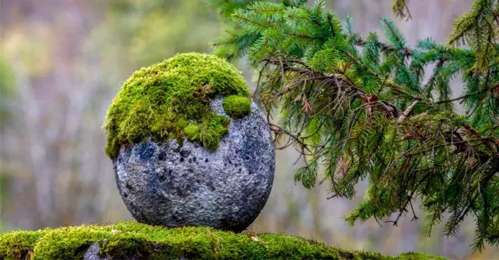 Kamenná koule porostlá mechem Kamenná koule porostlá mechem