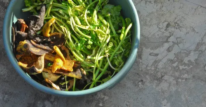 Rostlinný odpad z kuchyně