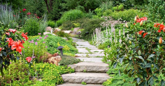 Schody a cesta v rozkvetlé zahradě