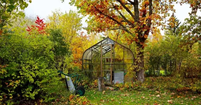 Skleník v podzimní zahradě