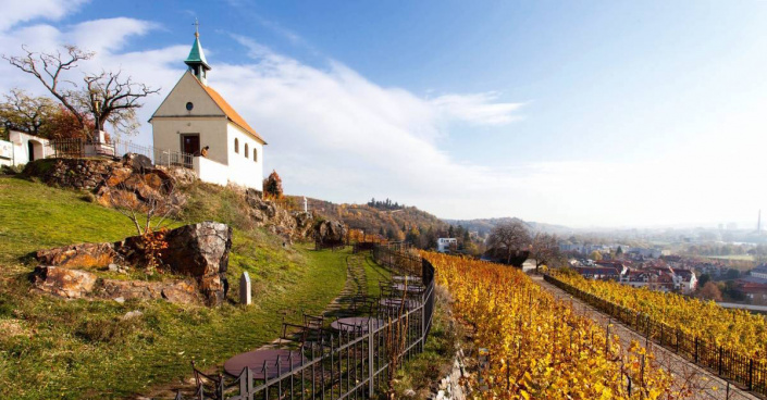 Vinice a kaple sv. Kláry