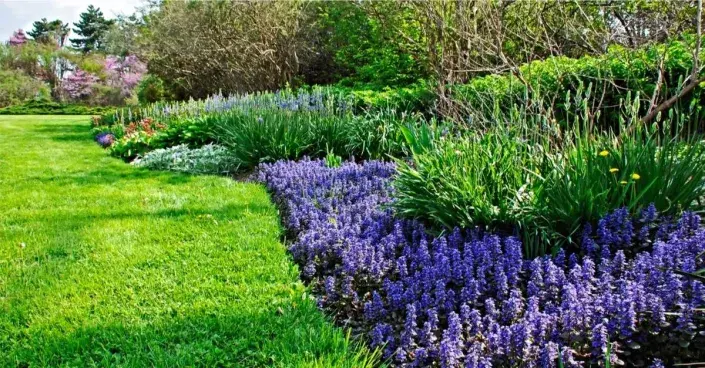 Lem záhonu a okraj trávníku Lem záhonu a okraj trávníku