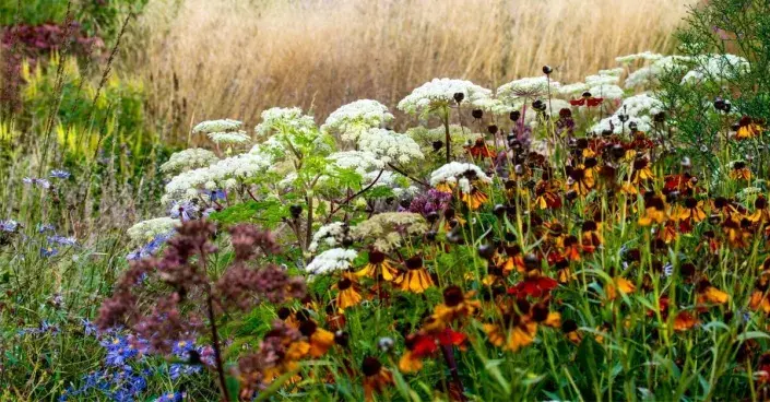 Barevný trvalkový záhon Barevný trvalkový záhon