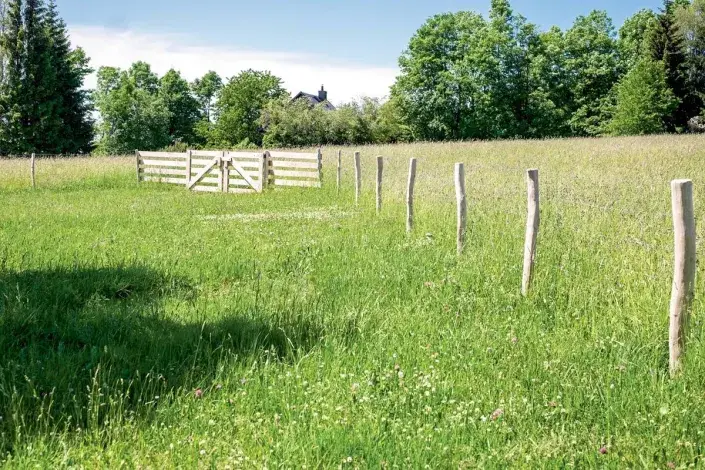 Jednoduché plocení pozemku Jednoduché plocení pozemku