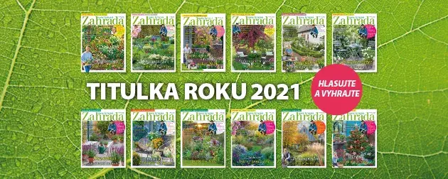 Soutěž Titulka roku 2021 Soutěž Titulka roku 2021