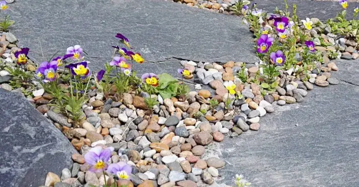 Nášlapné kameny z břidlice a štěrk