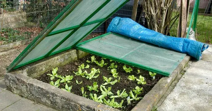 Otevřené pařeniště Otevřené pařeniště