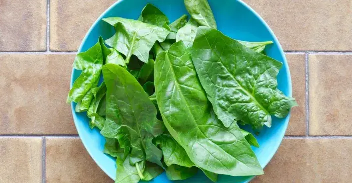 Listy špenátu na talíři Listy špenátu na talíři