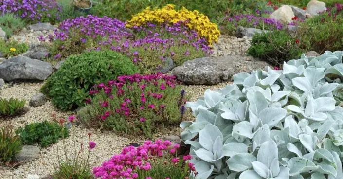 Štěrkový záhon osázený trvalkami