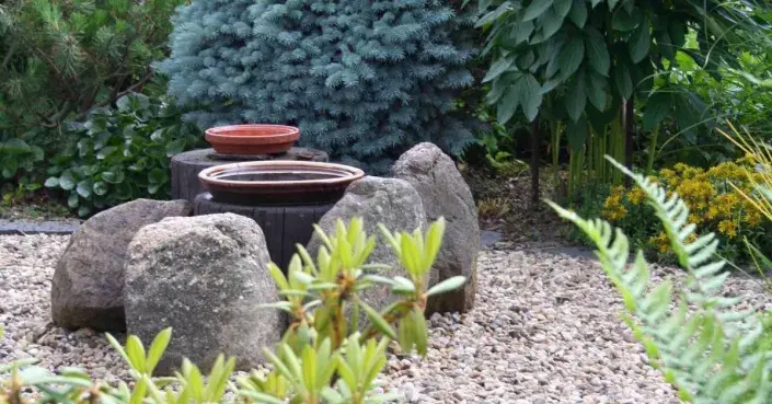 Trvalkový záhon s pítkem pro ptáky Trvalkový záhon s pítkem pro ptáky