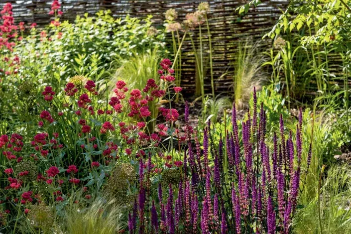 Uvolněná výsadba slunomilných trvalek a trav Uvolněná výsadba slunomilných trvalek a trav