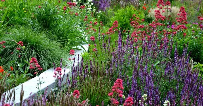 Okrasný trvalkový záhon Okrasný trvalkový záhon