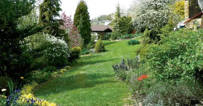 Dlouhý trávník mezi okrasnými záhony a výsadbami Dlouhý trávník mezi okrasnými záhony a výsadbami