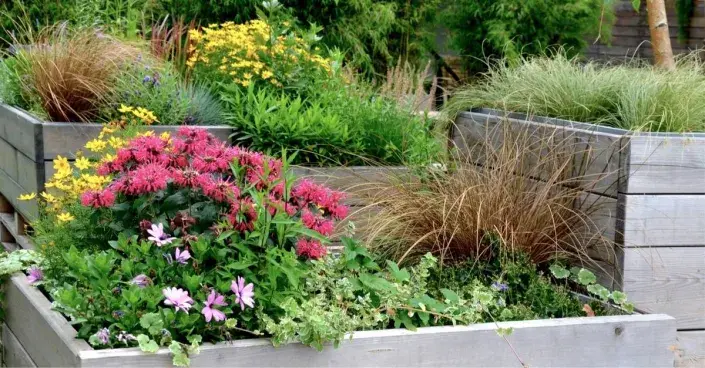 Truhlíky osázené okrasnými trávami a trvalkami Truhlíky osázené okrasnými trávami a trvalkami