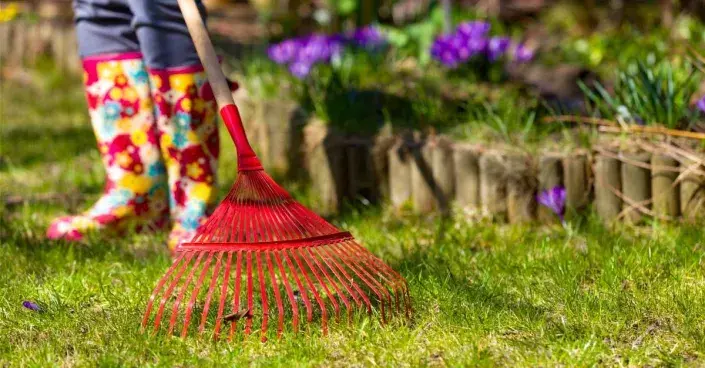 Červené prstové hrábě na trávníku Červené prstové hrábě na trávníku