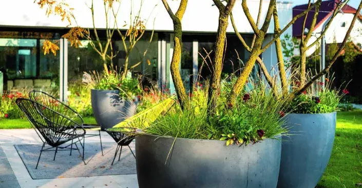 Velké květináče se stromy na terase Velké květináče se stromy na terase