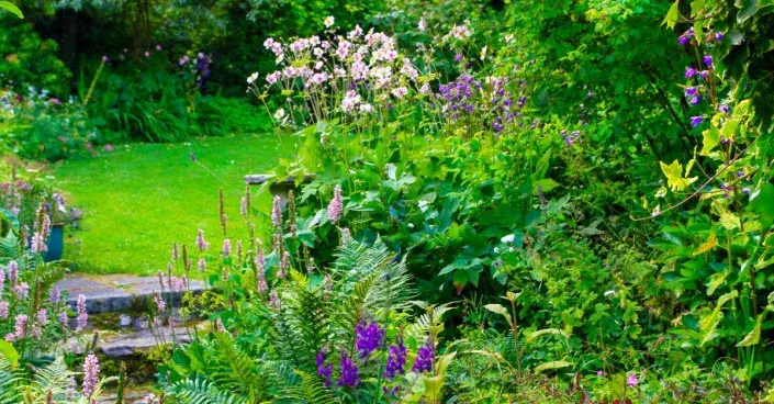 Okrasný záhon v polostínu Okrasný záhon v polostínu