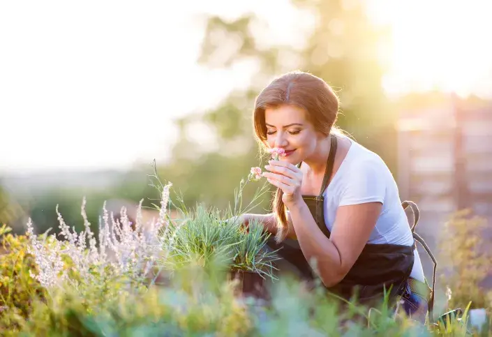 Domácí bylinková lékarna Domácí bylinková lékarna