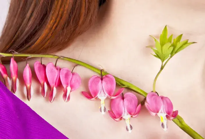 Srdcovka: princezna ze záhonu našich babiček. Proč ji mít na své zahradě a jak ovlivňuje pozitivně naši mysl? Srdcovka: princezna ze záhonu našich babiček. Proč ji mít na své zahradě a jak ovlivňuje pozitivně naši mysl?