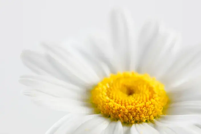 Hádanky pro zvídavé zahrádkáře Hádanky pro zvídavé zahrádkáře