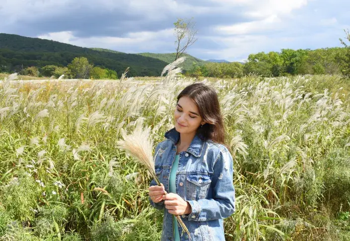 Okrasné traviny Okrasné traviny