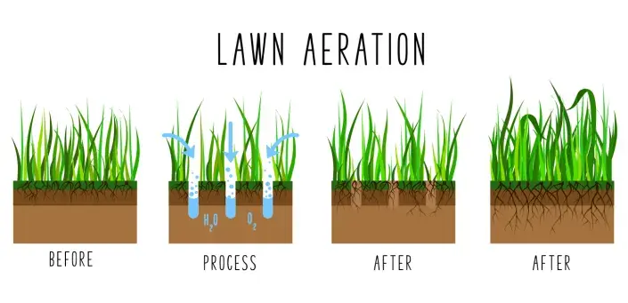 Návod na prozvdušnění trávníku Návod na prozvdušnění trávníku