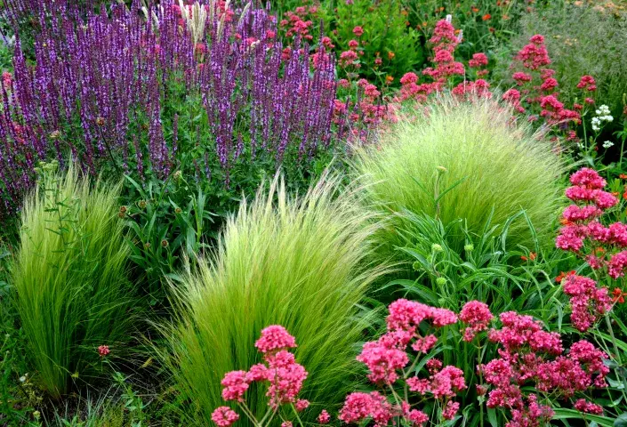 Nejkrásnější kombinace rostlin, kterým nevadí sucho a není s nimi práce Nejkrásnější kombinace rostlin, kterým nevadí sucho a není s nimi práce