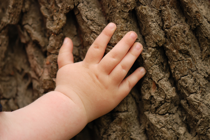 Dětská ruka na kmeni stromu