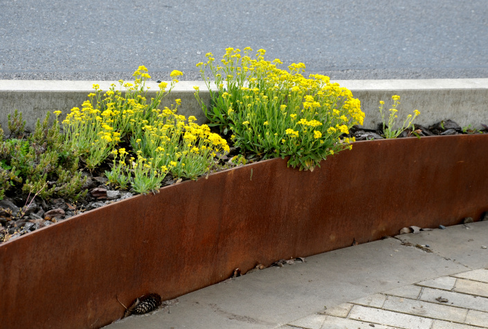 corten obruba nad terénem corten obruba