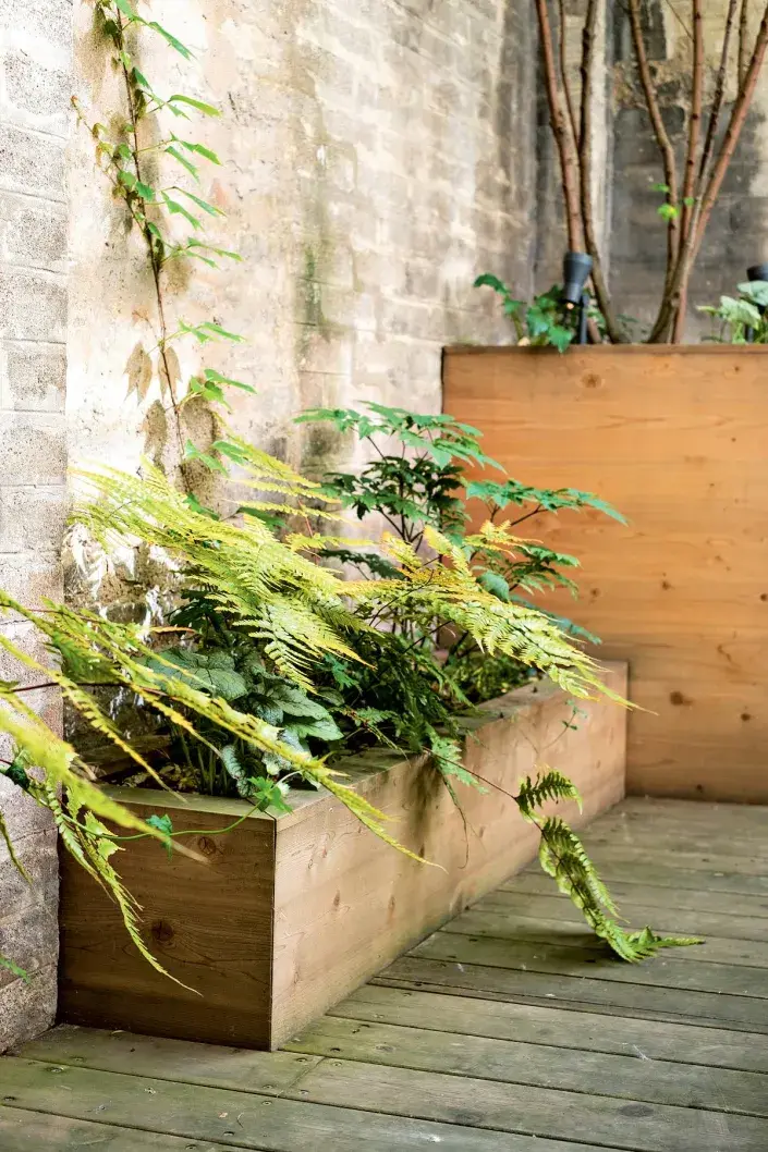 Velké květináče na terase ve vnitrobloku Velké květináče na terase ve vnitrobloku