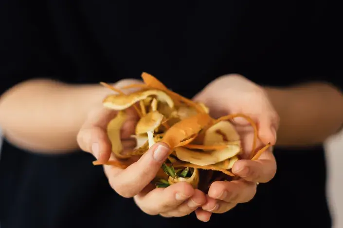 Bramborové slupky a další kuchyňský odpad Bramborové slupky a další kuchyňský odpad