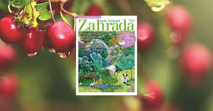 Naše krásná zahrada 9/2022