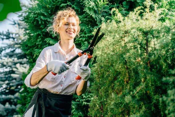 Střih keřů Střih keřů