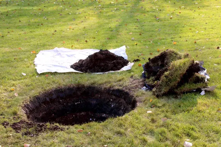 Výsadbová jáma v trávníku