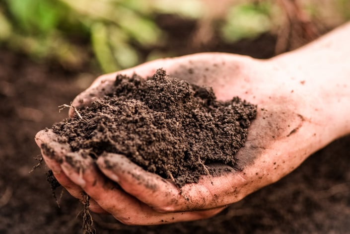 Kompost a přihnojení půdy