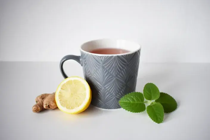 Rýmovník Rýmovník čaj