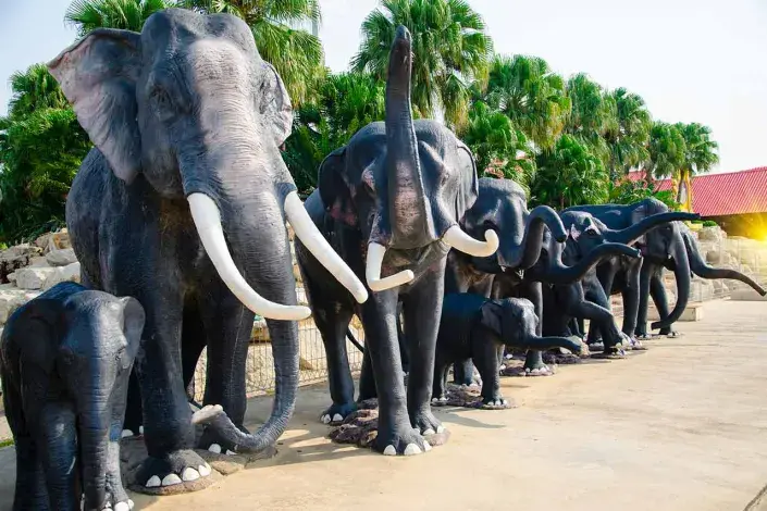 Tropická zahrada Nong Nooch Tropická zahrada Nong Nooch