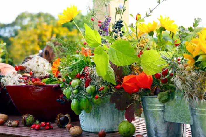 Podzimní dekorace ze zahrady Podzimní dekorace ze zahrady